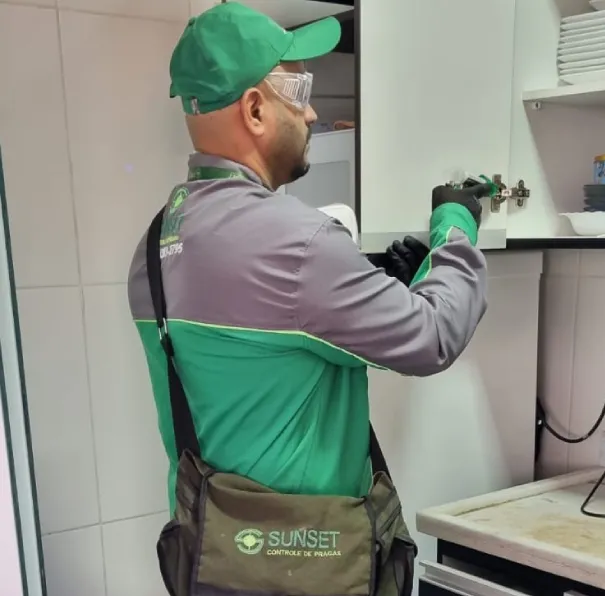 Dedetização para Residências - Rio de Janeiro // Dedetizadora RJ Dedetização para Residências - Rio de Janeiro // Dedetizadora RJ