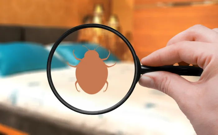 Dedetizadora de Percevejo de Cama - Rio de Janeiro // Dedetizadora RJ Dedetizadora de Percevejo de Cama - Rio de Janeiro // Dedetizadora RJ