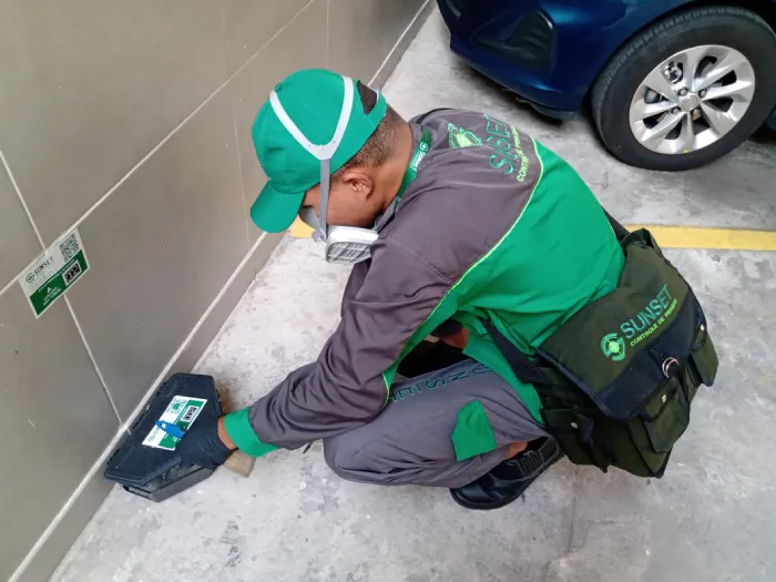 Desratização - Rio de Janeiro // Dedetizadora RJ Desratização - Rio de Janeiro // Dedetizadora RJ