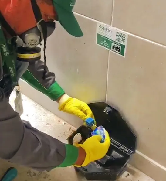 Desratização - Sunset Desratização - Sunset