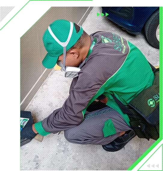 Certificados // Dedetizadora Certificada - Rio de Janeiro Certificados // Dedetizadora Certificada - Rio de Janeiro