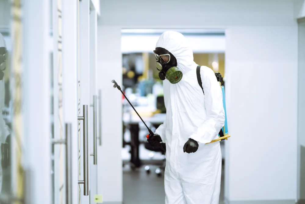 Dedetização na Barra da Tijuca: acabe com a infestação do jeito certo