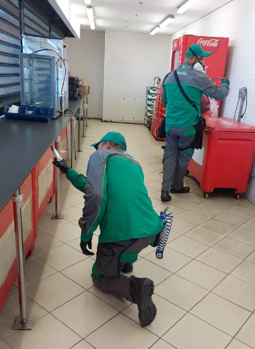 Dedetização Comercial