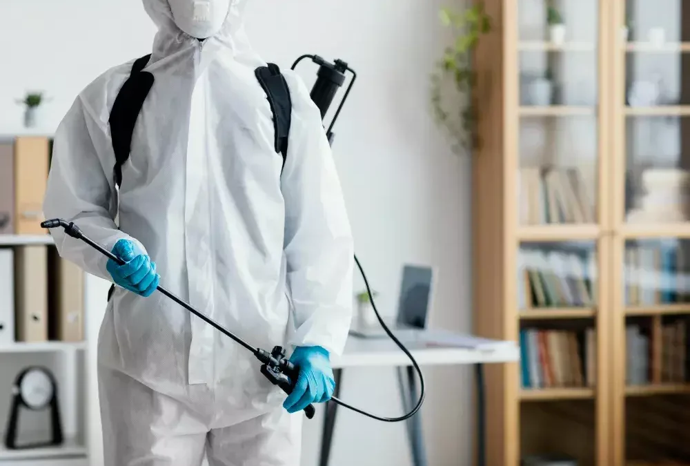 Após a Dedetização: Dicas Práticas para uma Limpeza Eficaz e Livre de Riscos