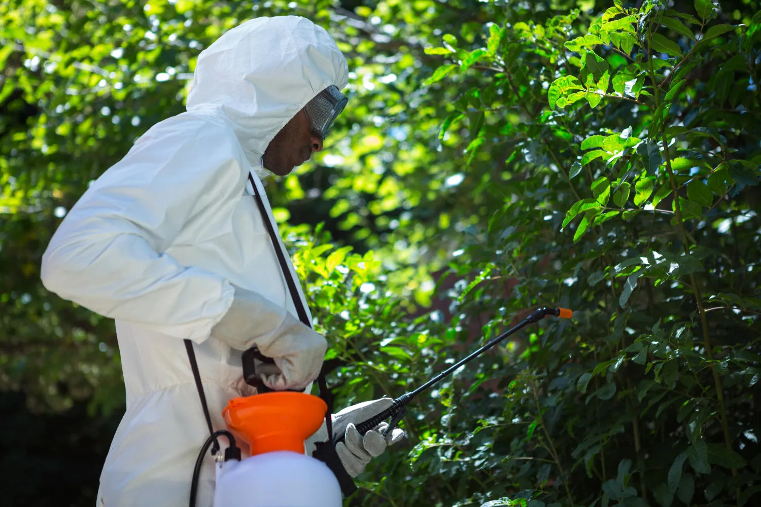 Capina Química - Rio de Janeiro // Dedetizadora RJ Capina Química - Rio de Janeiro // Dedetizadora RJ