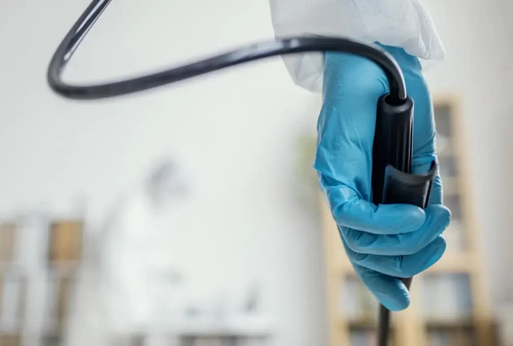 Descupinização no RJ: conheça os principais tipos de cupins que atacam imóveis