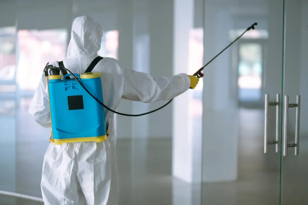 Dedetização em empresas: sinais silenciosos de infestação que passam despercebidos